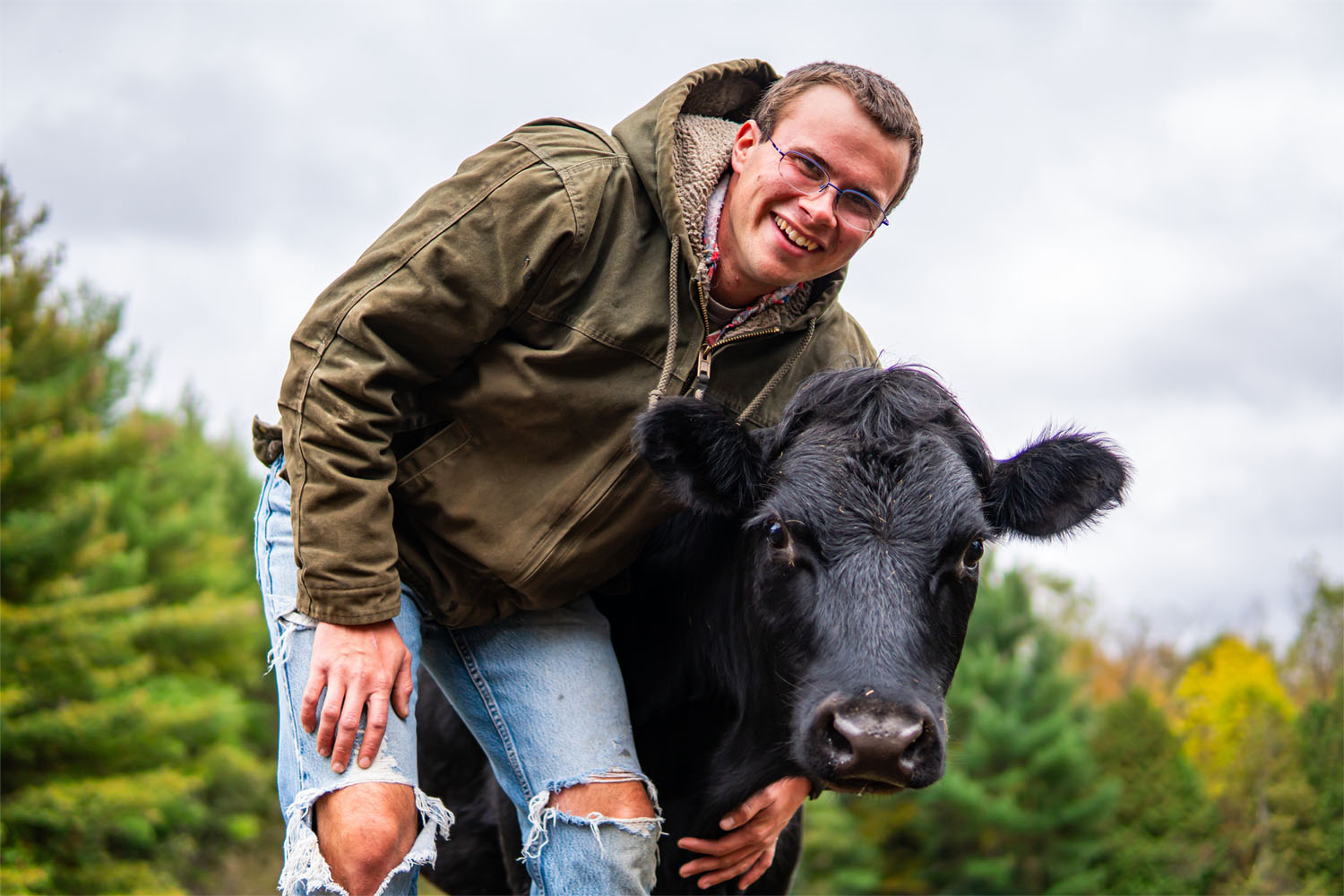 Malachi and a heifer